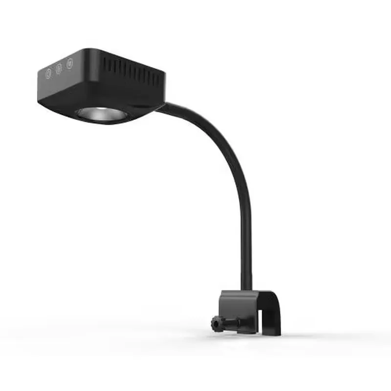 Aquarium Marine Salt - Luxury Marine Aquarium Decorated Accessories LED