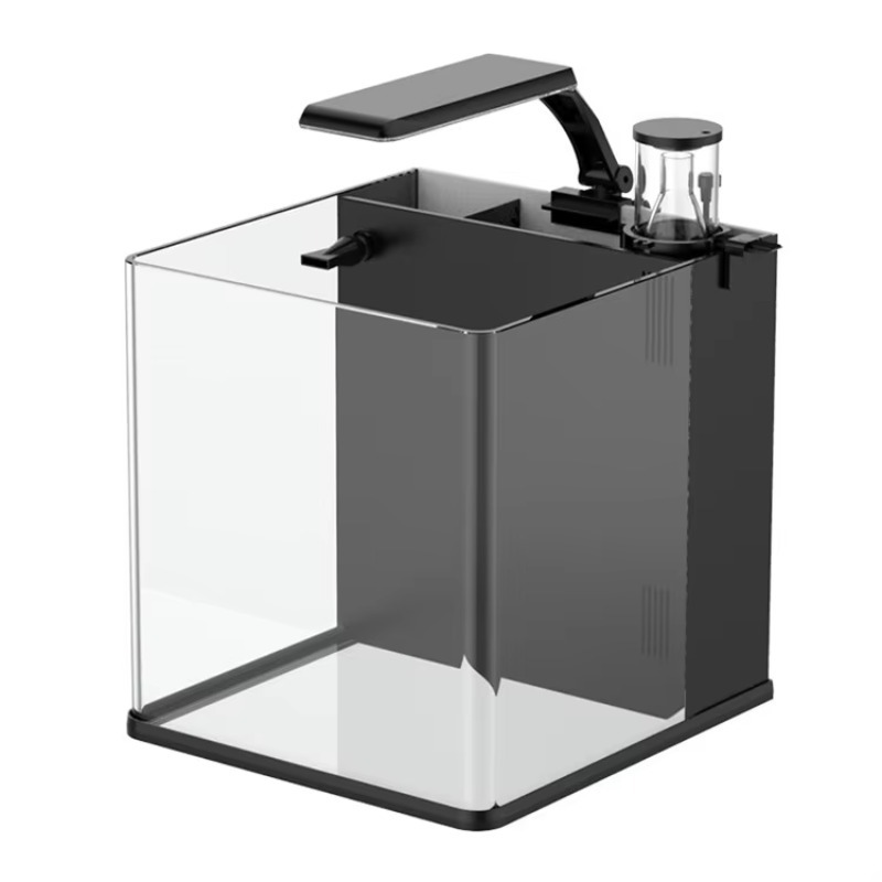 Marine Aquarium In Clearwater - Ultra Clear Glass Mini Salt Water