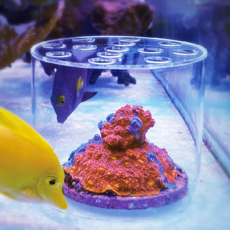 Marine Aquarium Glue - Vastocean Aquarium Arcylic Coral Feeder Hood