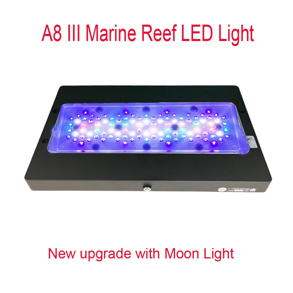 Aquarium Marine Fishes - A8 III Moon light Powerful Marine