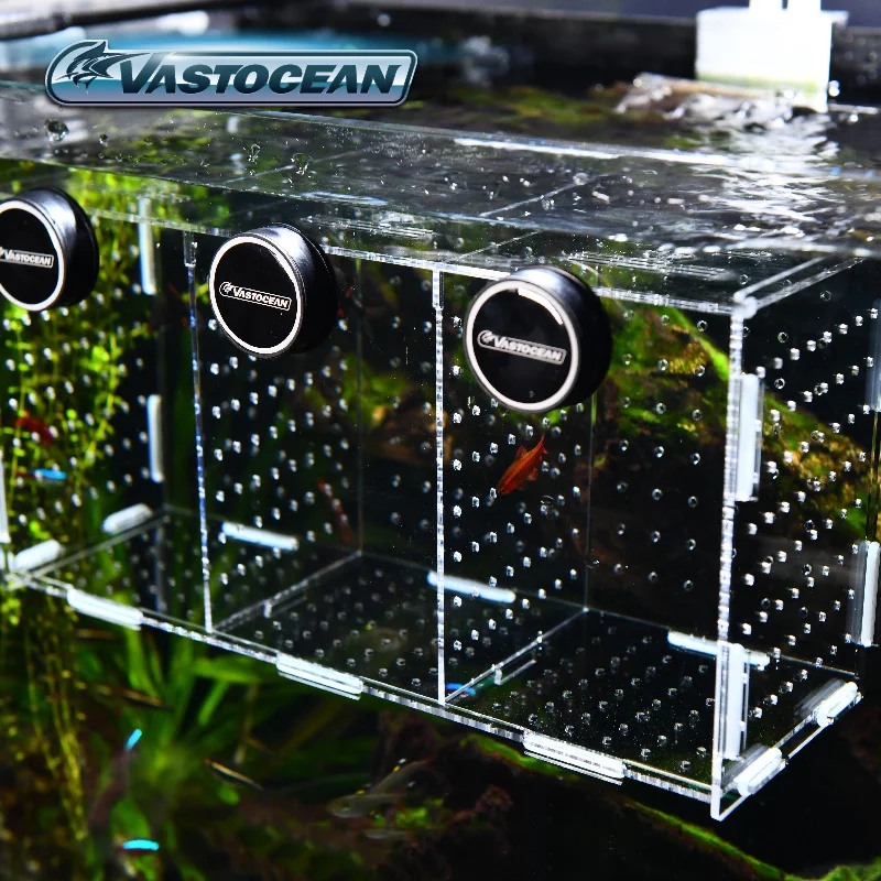 VASTOCEAN Fish Tank Magnetic C - Marine Aquarium Glue recension och pris