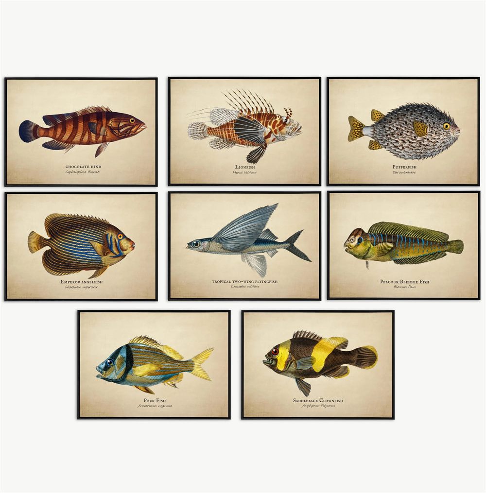 Vintage Pictures Tropical Fish - Marine Aquarium Home recension och pris