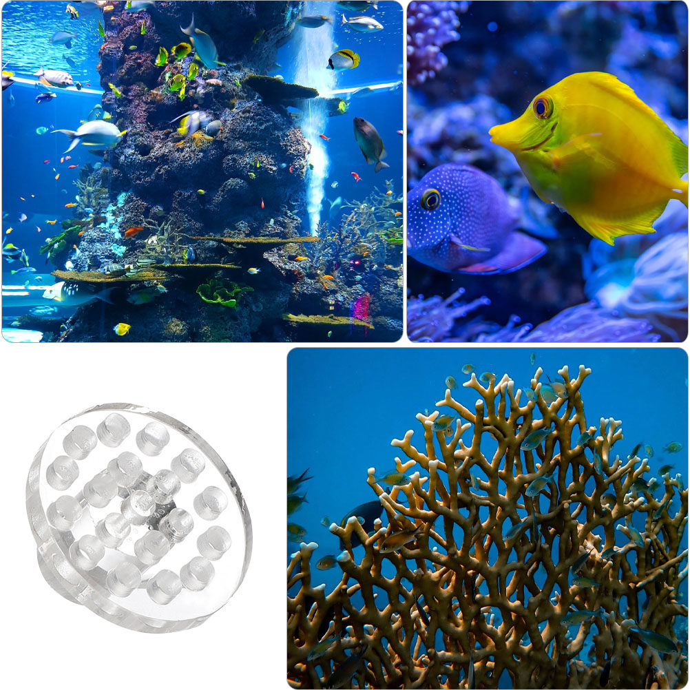 10Pcs Acrylic Coral Frag Rack  - Marine Aquarium Glue recension och pris