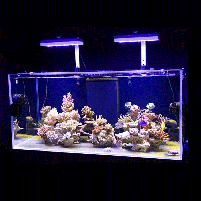 Aqua Illumination AI Hydra 32H - Aquarium Marine Fishes recension och pris