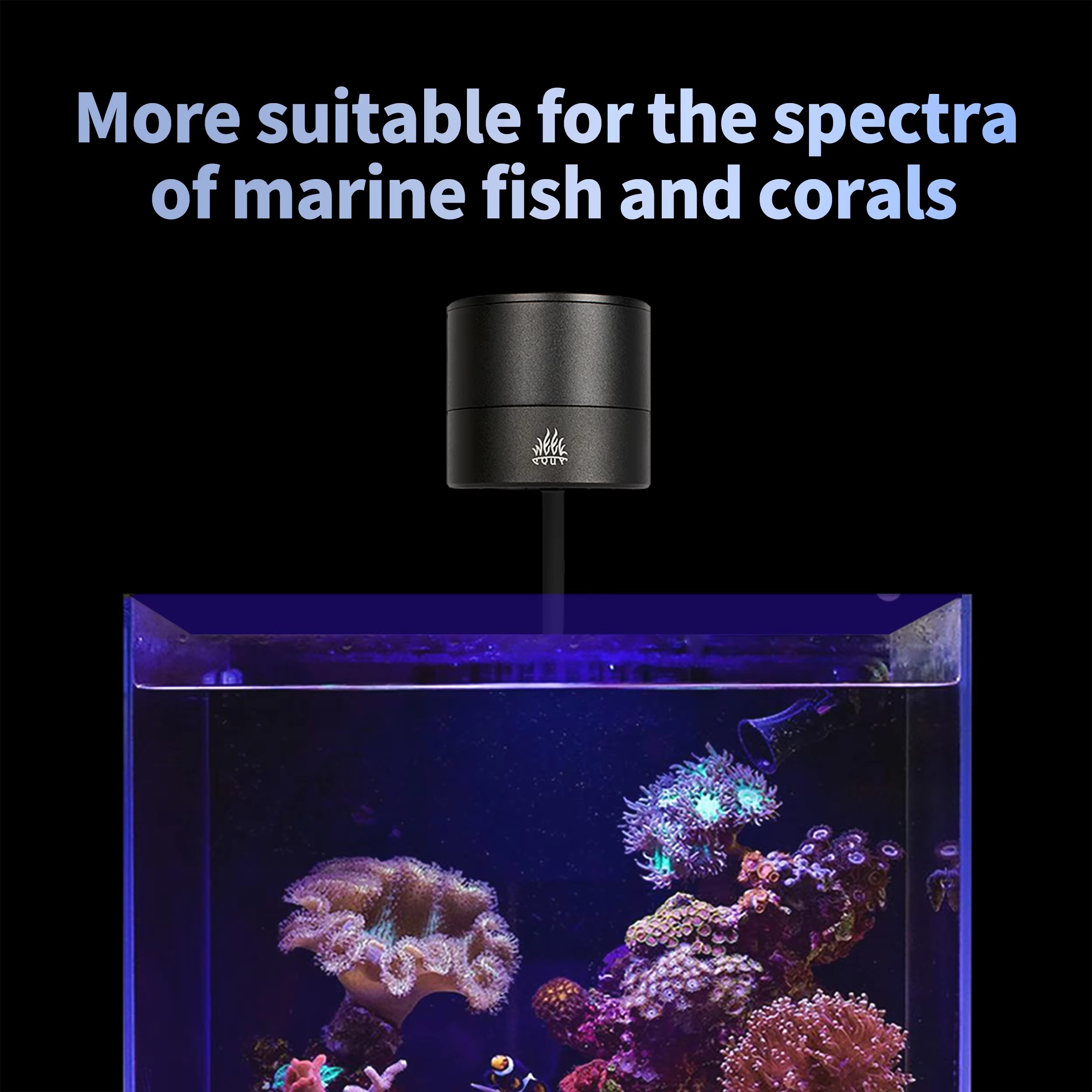 WEEK AQUA Aquarium Light Manuf - Aquarium Marine Salt recension och pris