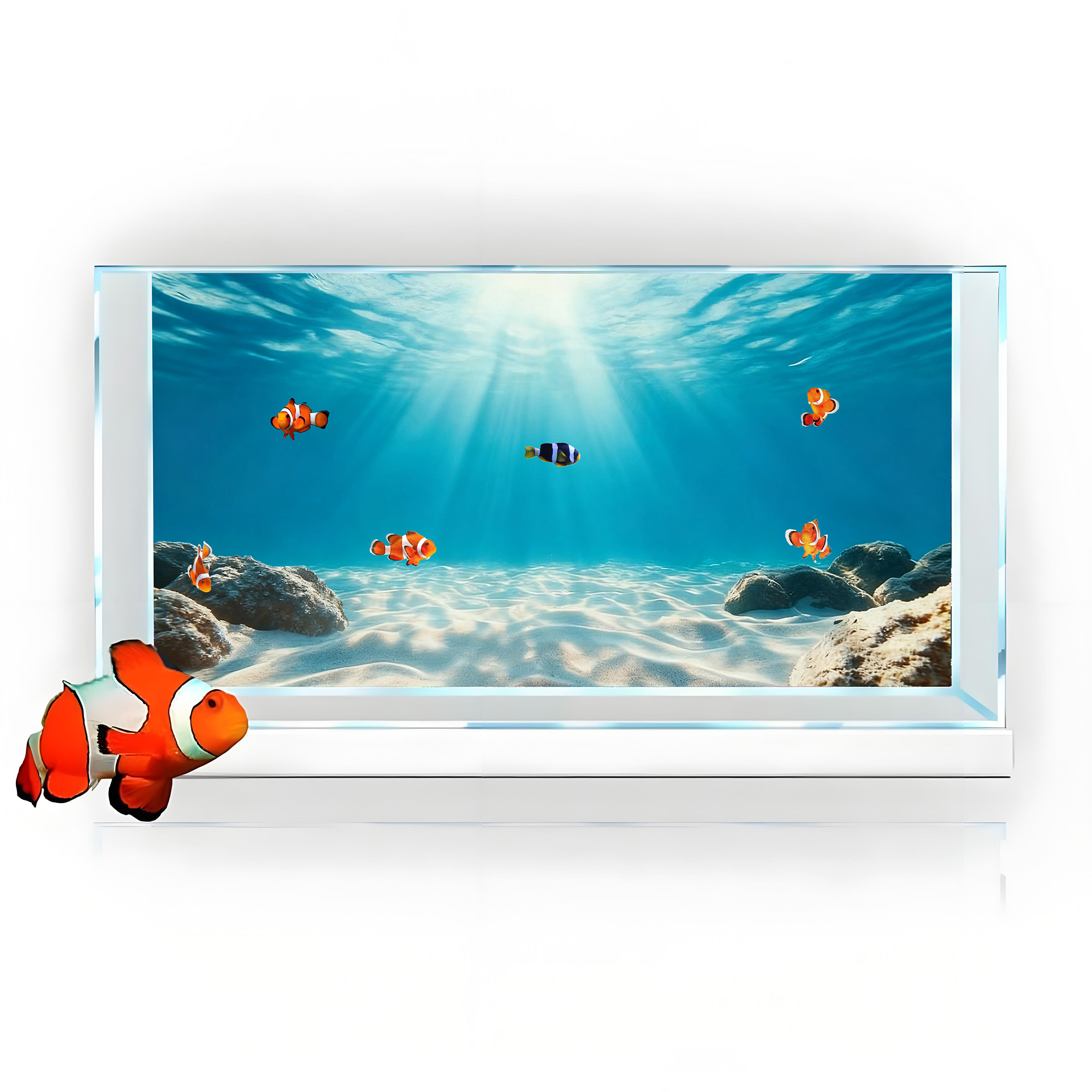 Blue Sea Clear Sand, Fish Tank - Marine Aquarium Glue recension och pris
