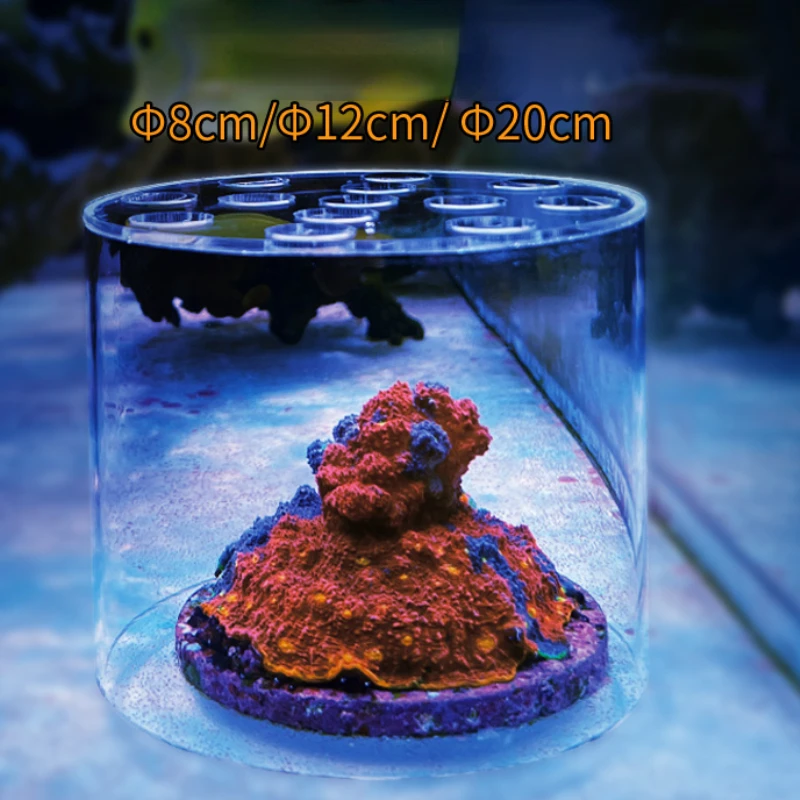 Vastocean Aquarium Arcylic Cor - Marine Aquarium Glue recension och pris
