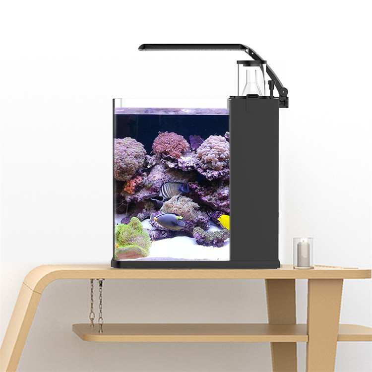 Ultra Clear Glass Mini Salt Wa - Marine Aquarium In Clearwater recension och pris