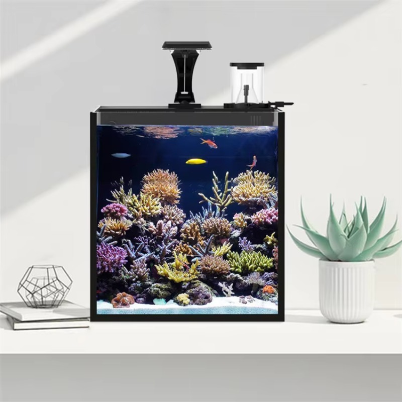 Ultra Clear Glass Mini Salt Wa - Marine Aquarium In Clearwater recension och pris