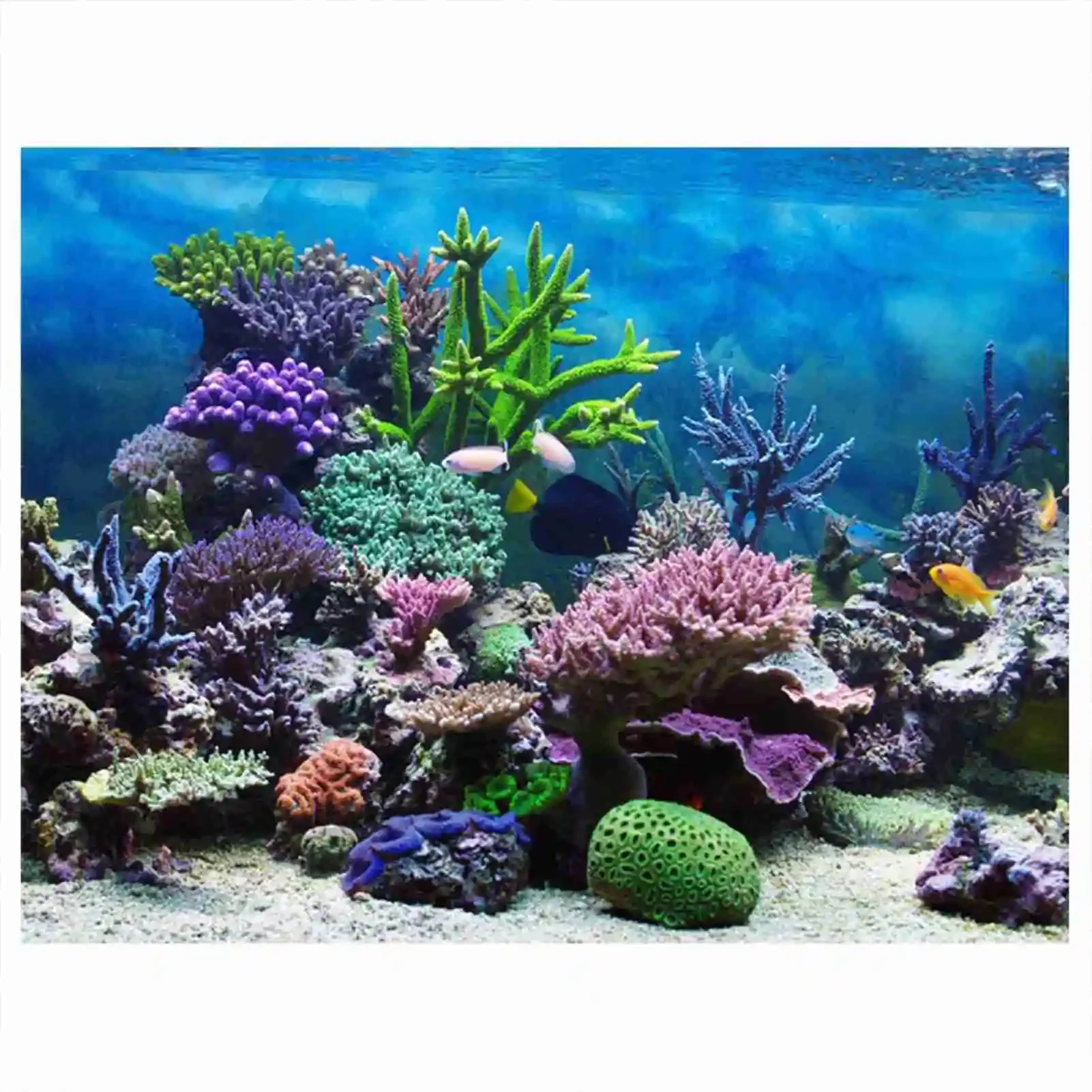 3D Aquarium Landscape Poster R - Marine Aquarium Glue recension och pris