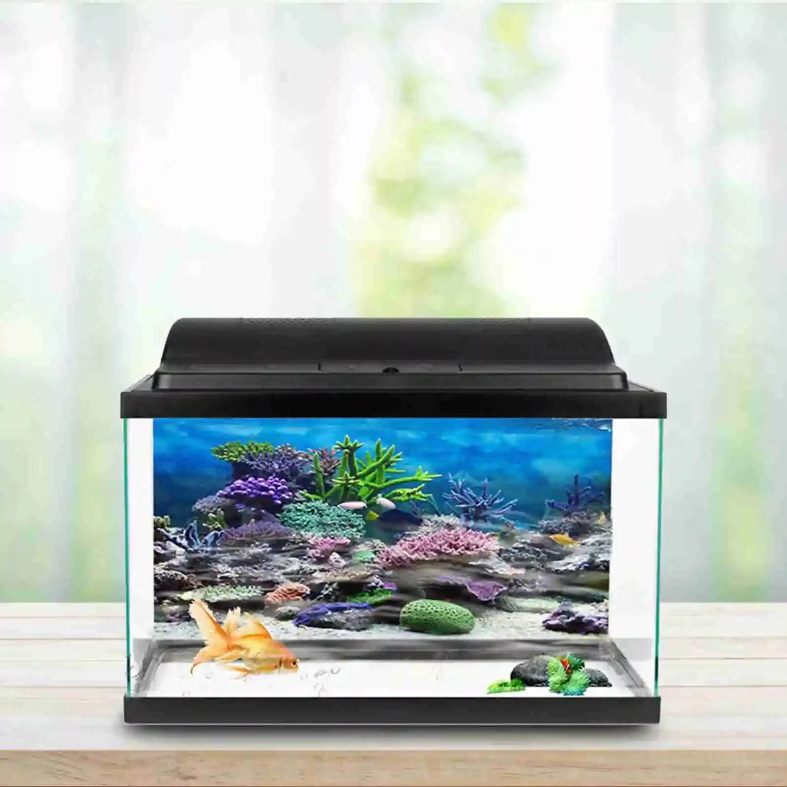 3D Aquarium Landscape Poster R - Marine Aquarium Glue recension och pris