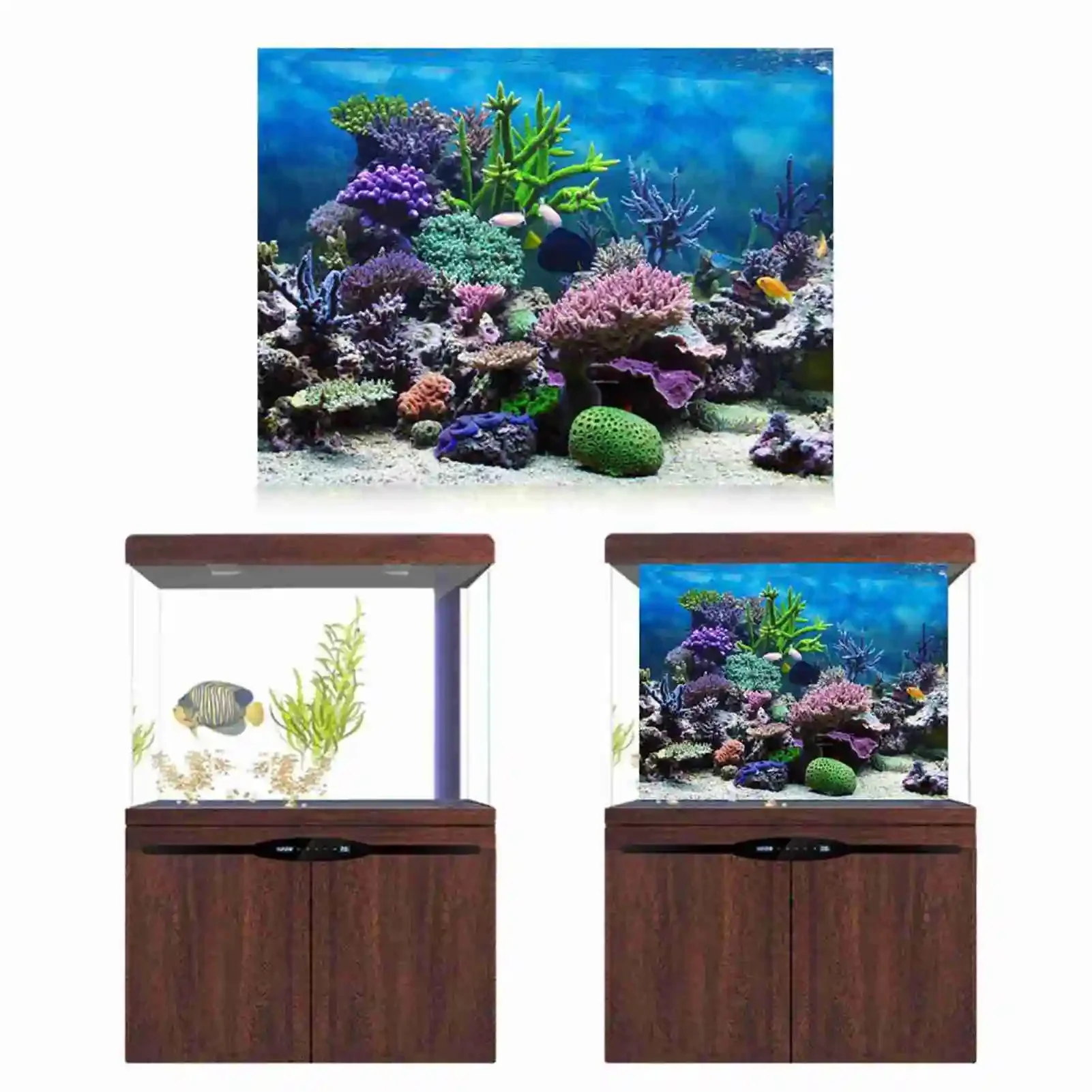 3D Aquarium Landscape Poster R - Marine Aquarium Glue recension och pris