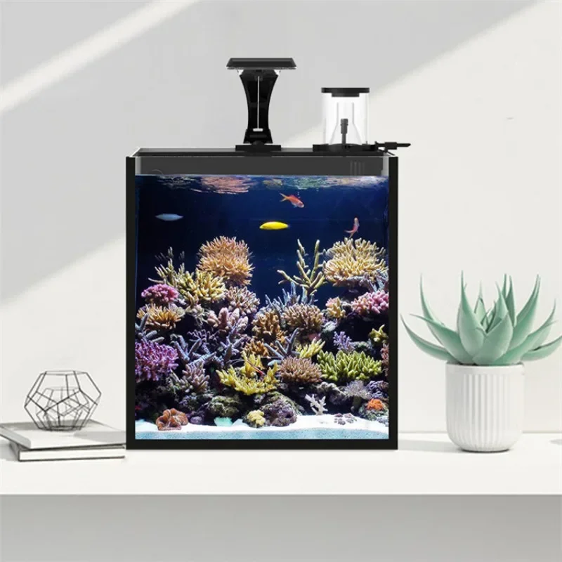 Hot sales Ultra Clear Glass Mi - Marine Aquarium In Clearwater recension och pris