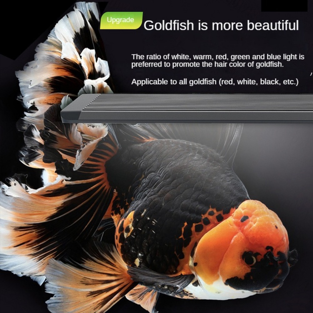 Aquarium Light With Optical Le - Marine Aquarium In Clearwater recension och pris