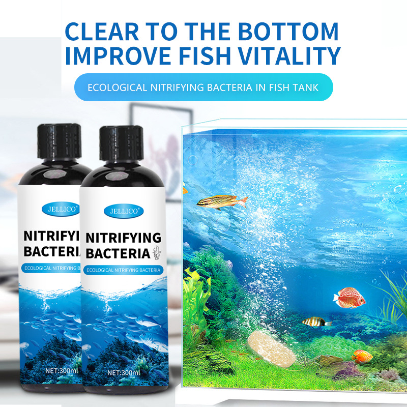 300ml Nitrifying Bacteria Aqua - Marine Aquarium In Clearwater recension och pris