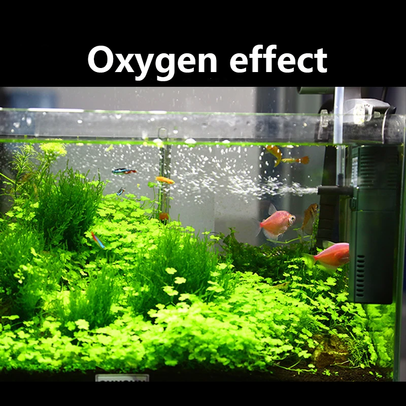 SUNSUN mini nano 111B 311B 611 - Marine Aquarium Kit recension och pris